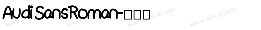 Audi Sans Roman字体转换